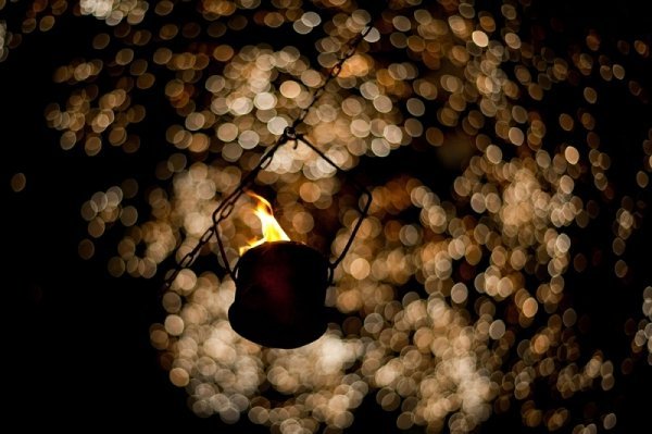 Фотовиставка Олександра Шишкіна