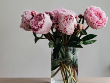 Добрі новини від ВолиньPost за 23 травня