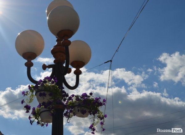 Місто, яке я люблю. Квіти Луцька