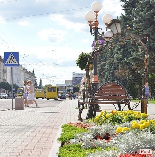 Місто, яке я люблю. Квіти Луцька