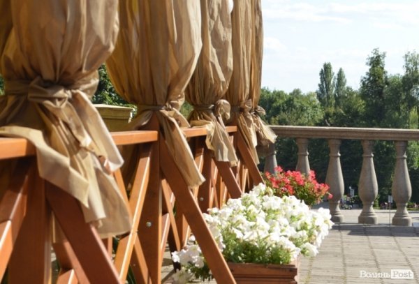 Місто, яке я люблю. Квіти Луцька