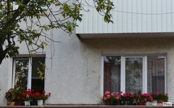 Місто, яке я люблю. Квіти Луцька