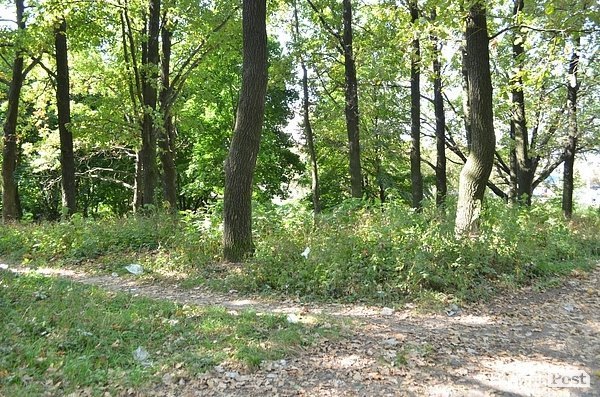 Луцький парк перетворився на смітник, бо нікому доглядати. ФОТО