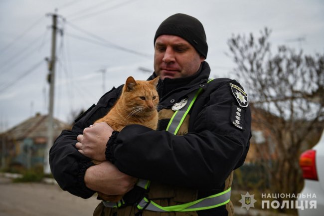 Поліція рятує домашніх тварин у вщент зруйнованому Оріхові