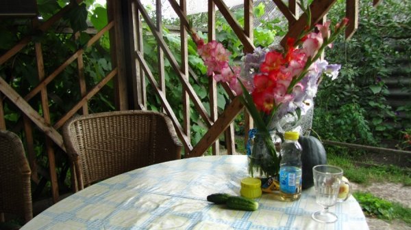 Після дня народження. Роз'їхались по містах. А квіти вдома лишили. 21 липня 2013 року. Село Бутівка Сосницького району Чернігівської області. Автор Роман Козацький