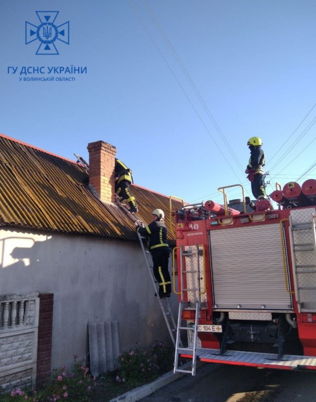 На Волині пожежники знімали собаку з даху. ФОТО