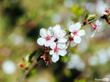 Якою буде погода на Волині та у Луцьку зокрема завтра, 4 травня