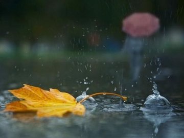 Якою буде погода на Волині завтра, 19 вересня 