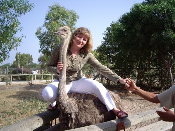 Лучани можуть виграти навколосвітню подорож