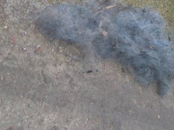 У Луцькому районі зловили двох рибалок-браконьєрів