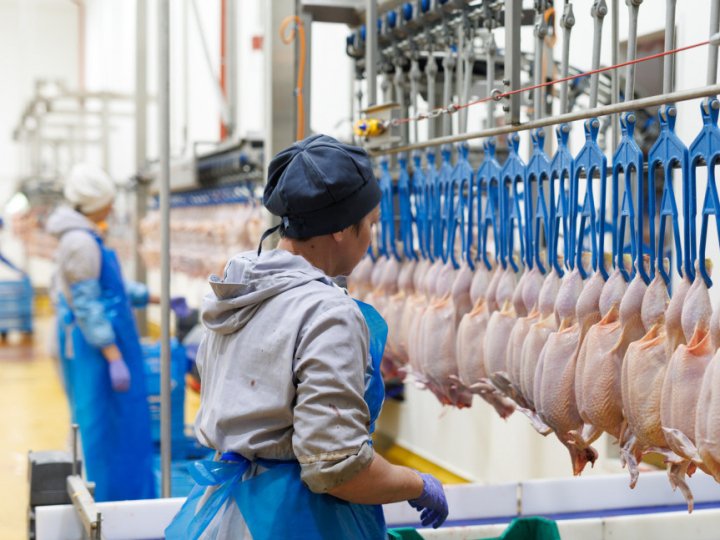 На Волині планують збудувати завод з переробки птиці та біогазову станцію