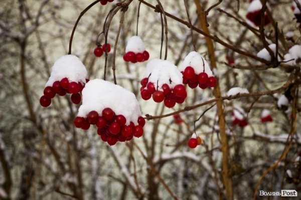У Луцьк прийшла справжня зима. ФОТО