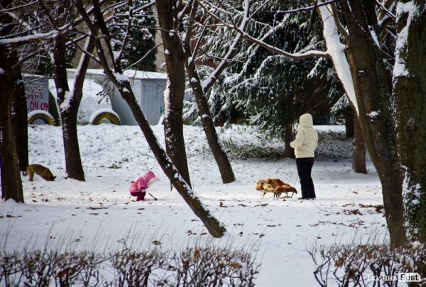 У Луцьк прийшла справжня зима. ФОТО