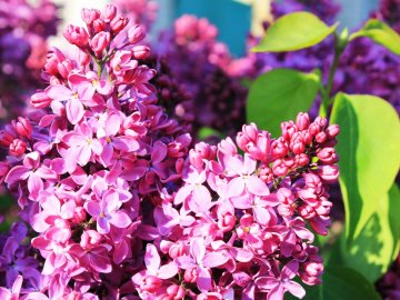 Чому сьогодні обов'язково треба піти на цвинтар: що можна і не можна робити 3 травня