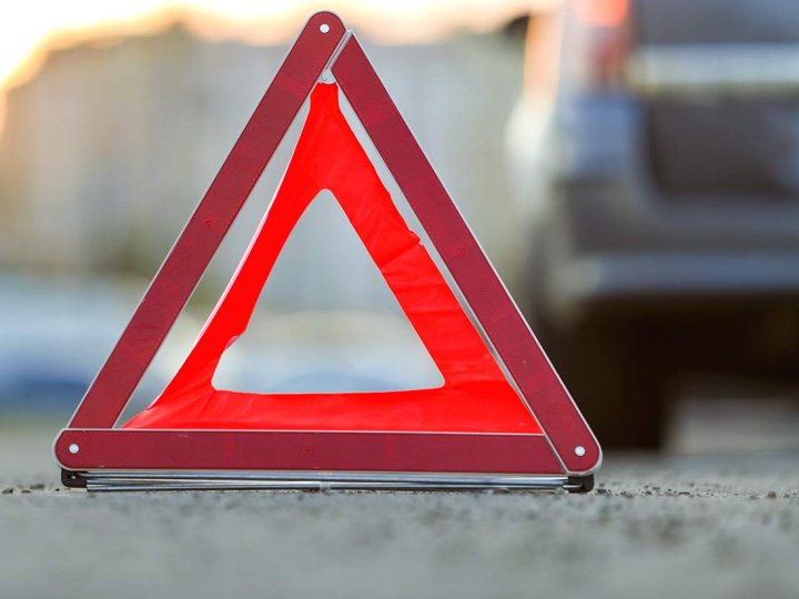 На Волині водій зловив ґаву і пошкодив три автівки