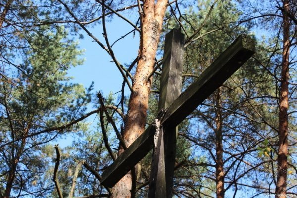 Як скаути з Польщі  відзначали на Волині ювілей. ФОТО