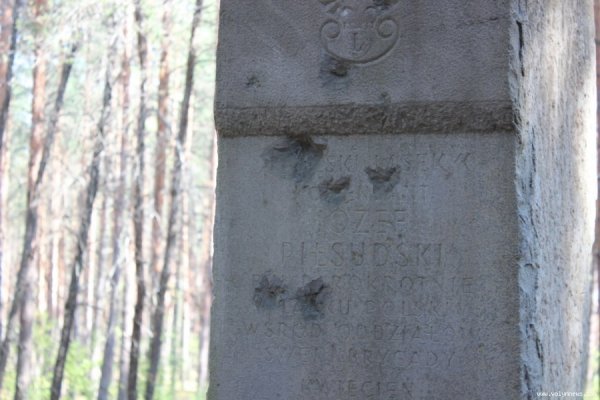 Як скаути з Польщі  відзначали на Волині ювілей. ФОТО