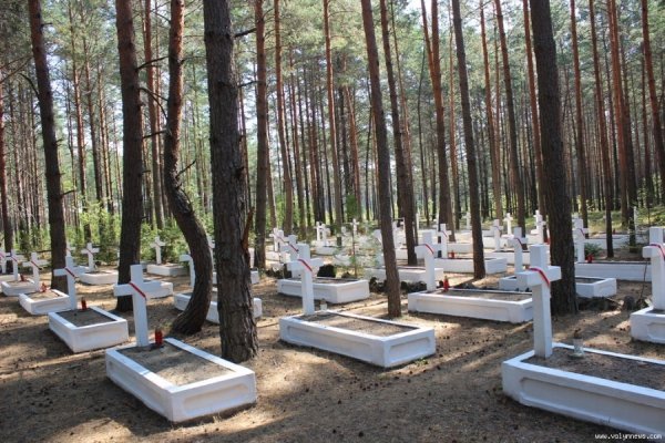 Як скаути з Польщі  відзначали на Волині ювілей. ФОТО