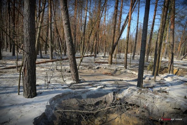 Фотограф показав космічні пейзажі бурштинових районів Рівненщини. ФОТО