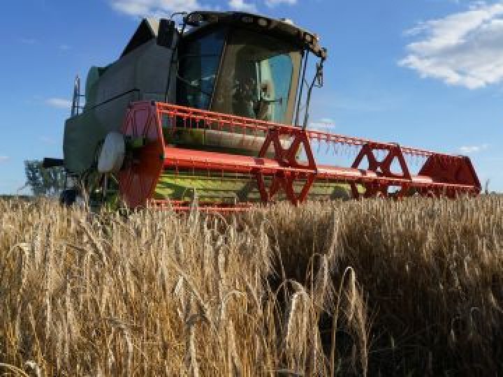 На Волині суттєво зросли ціни на обмолот зерна: скільки беруть комбайнери