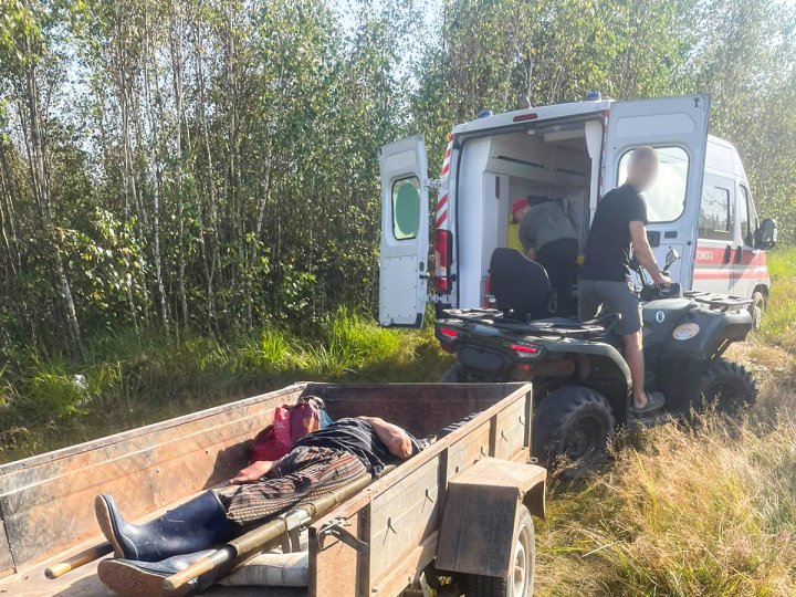 На Рівненщині жінка застрягла в болоті, збираючи журавлину, та пробула там майже добу