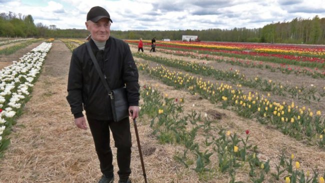 Стартував фестиваль «Волинська Голландія». ФОТО, ВІДЕО