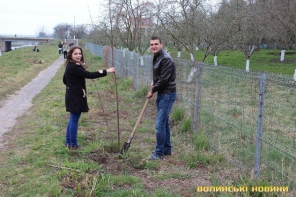 На Волині висадили алею Небесної сотні. ФОТО