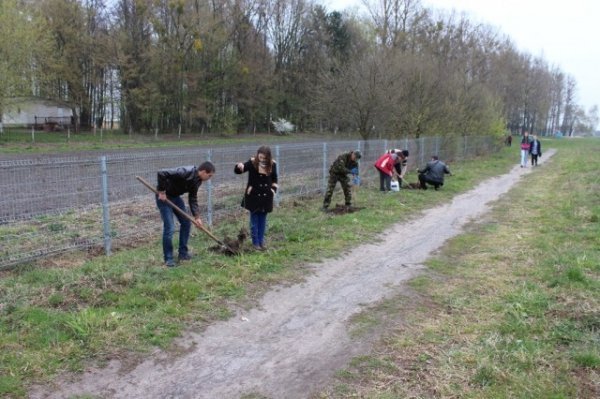 На Волині висадили алею Небесної сотні. ФОТО