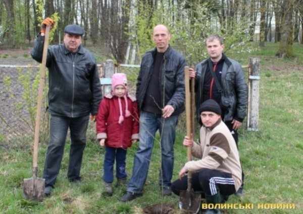 На Волині висадили алею Небесної сотні. ФОТО