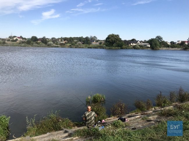 У Нововолинську виявили мертву рибу в озері