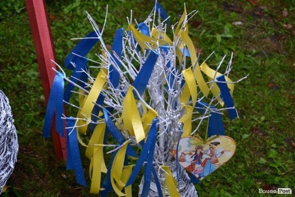 У Луцьку  - квіткова виставка до Дня Незалежності. ФОТО