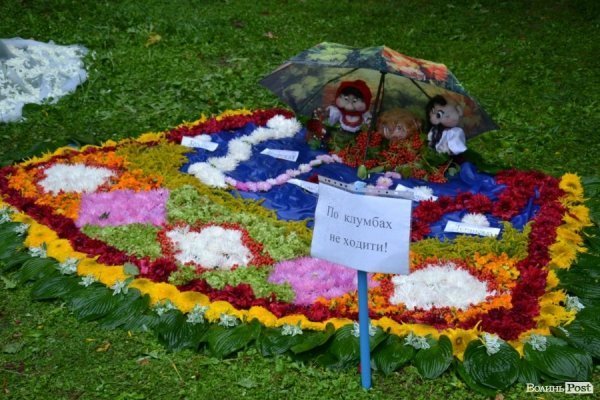 У Луцьку  - квіткова виставка до Дня Незалежності. ФОТО