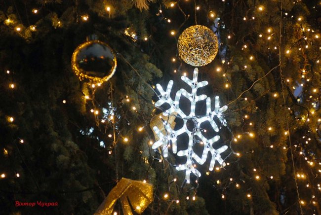 Святкові вогні вечірнього Луцька. ФОТО