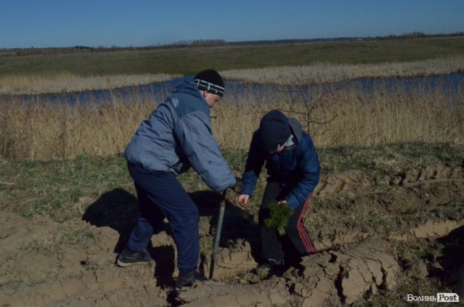 Екологічна акція у Промені, або Як у шквальний вітер народжувався новий ліс. ФОТО