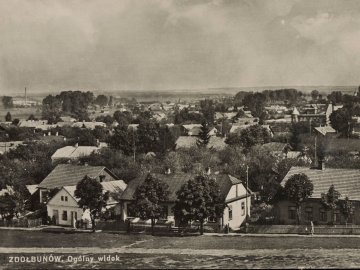 Містечко Великої Волині на ретро світлинах. ФОТО