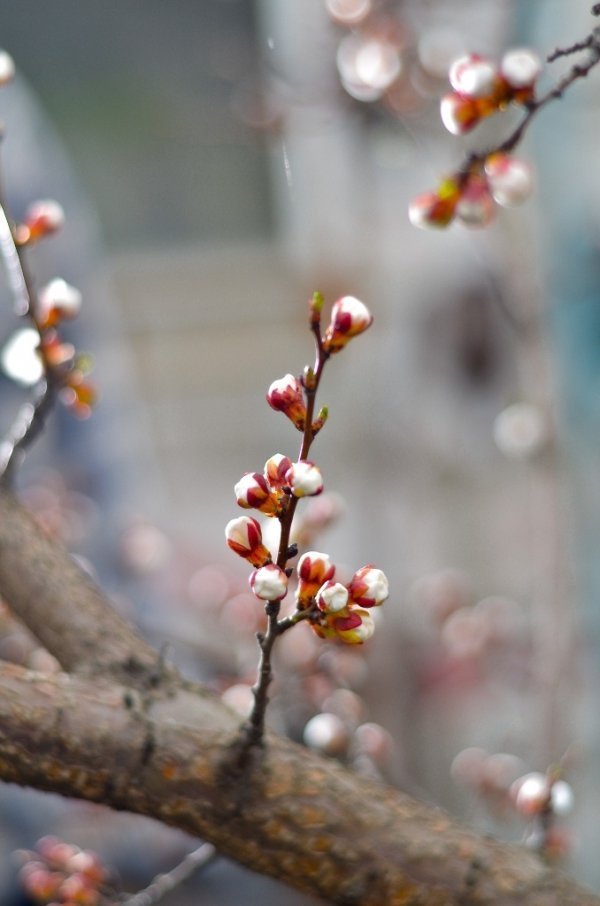 Фотовиставка Дмитра Лисюка