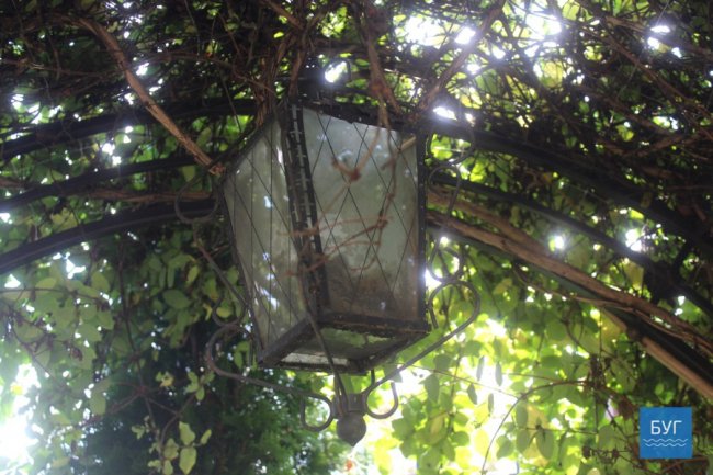 «Навіщо їхати в Італію, якщо її можна побудувати тут»: дизайнер з Волині власноруч облаштував зону відпочинку