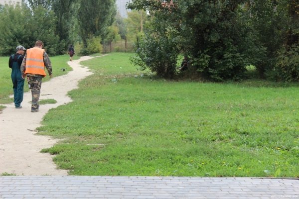 Під вікнами луцької багатоповерхівки ‒ стихійне сміттєзвалище. ФОТО