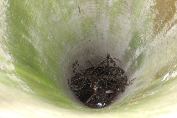 Під вікнами луцької багатоповерхівки ‒ стихійне сміттєзвалище. ФОТО