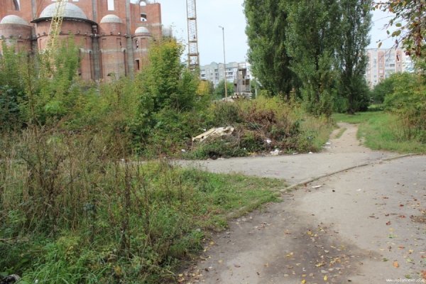 Під вікнами луцької багатоповерхівки ‒ стихійне сміттєзвалище. ФОТО