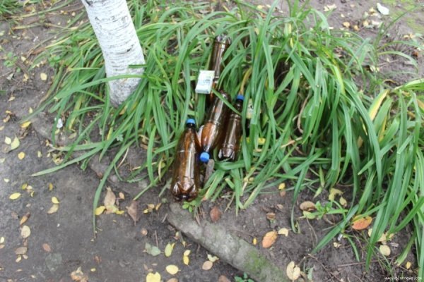 Під вікнами луцької багатоповерхівки ‒ стихійне сміттєзвалище. ФОТО