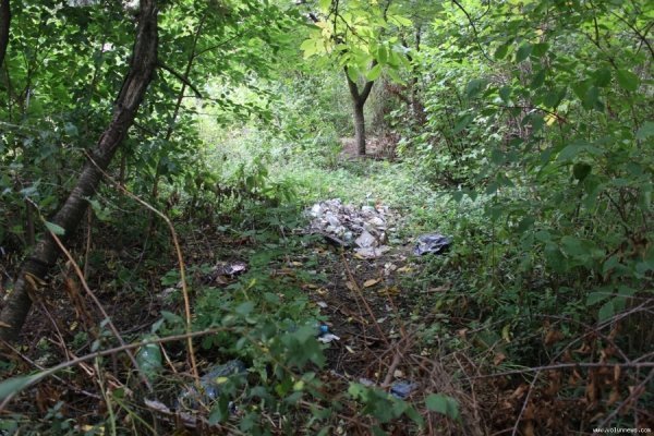 Під вікнами луцької багатоповерхівки ‒ стихійне сміттєзвалище. ФОТО