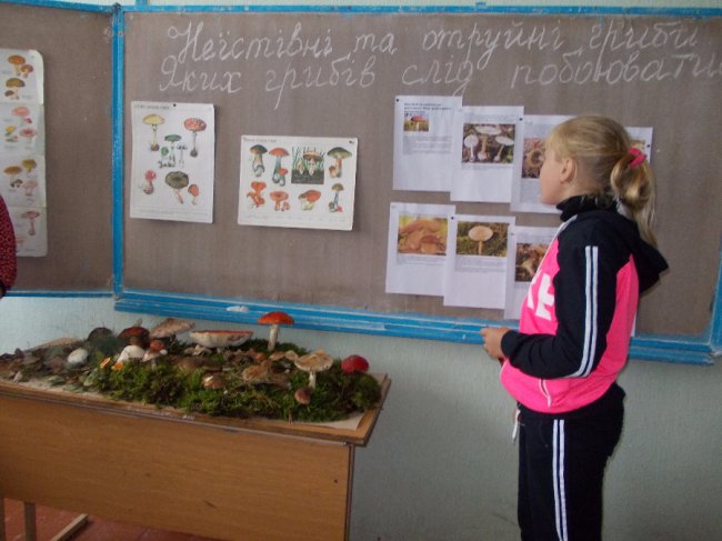 У волинських школах влаштовують «грибні уроки» 