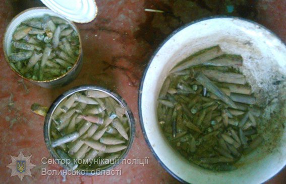 У волинянина вилучили 7 снарядів та 32 гранати