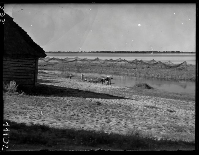 Село Люб’язь, 1929 р.