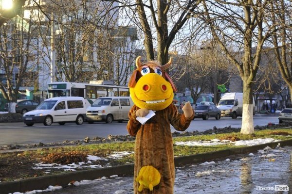 У Луцьку відкрили новий магазин «Сирне королівство»*