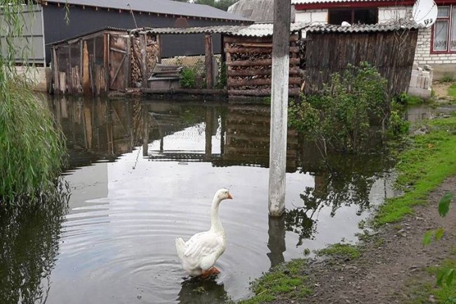  «Ми живемо у воді», – мешканці волинського села скаржаться на постійне підтоплення