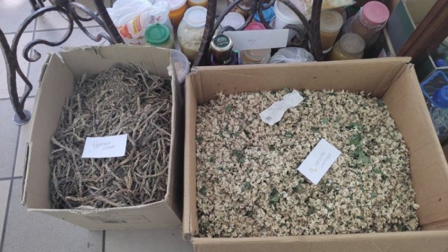 Волинські волонтери-хіміки готують лікувальні мазі для військових