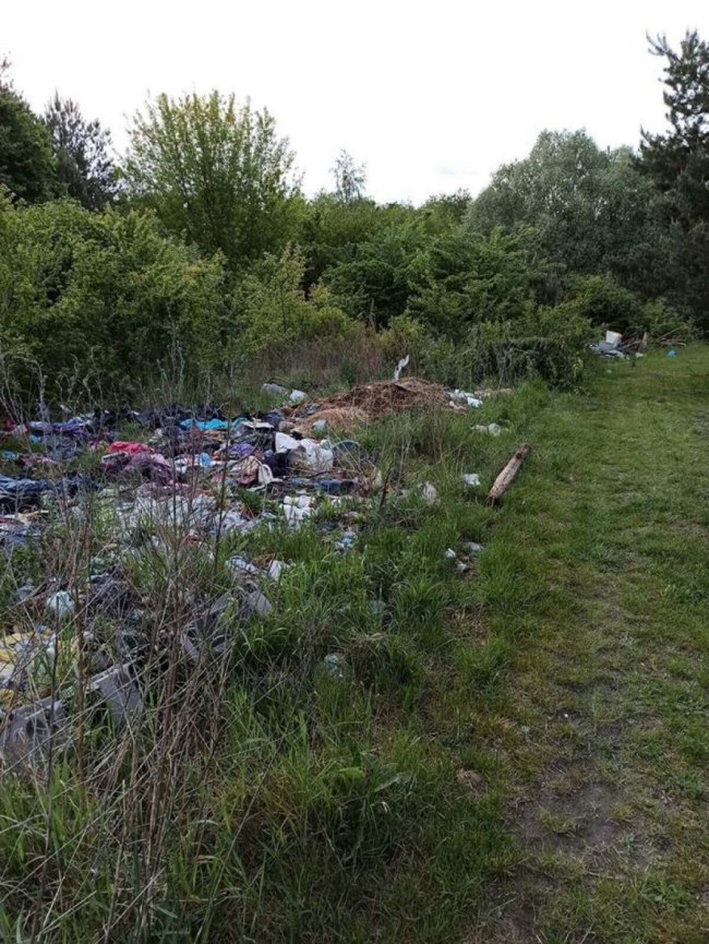 Біля села на Волині – стихійне сміттєзвалище. ФОТО