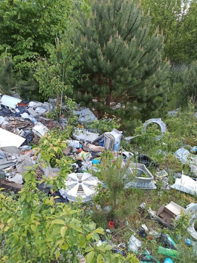 Біля села на Волині – стихійне сміттєзвалище. ФОТО